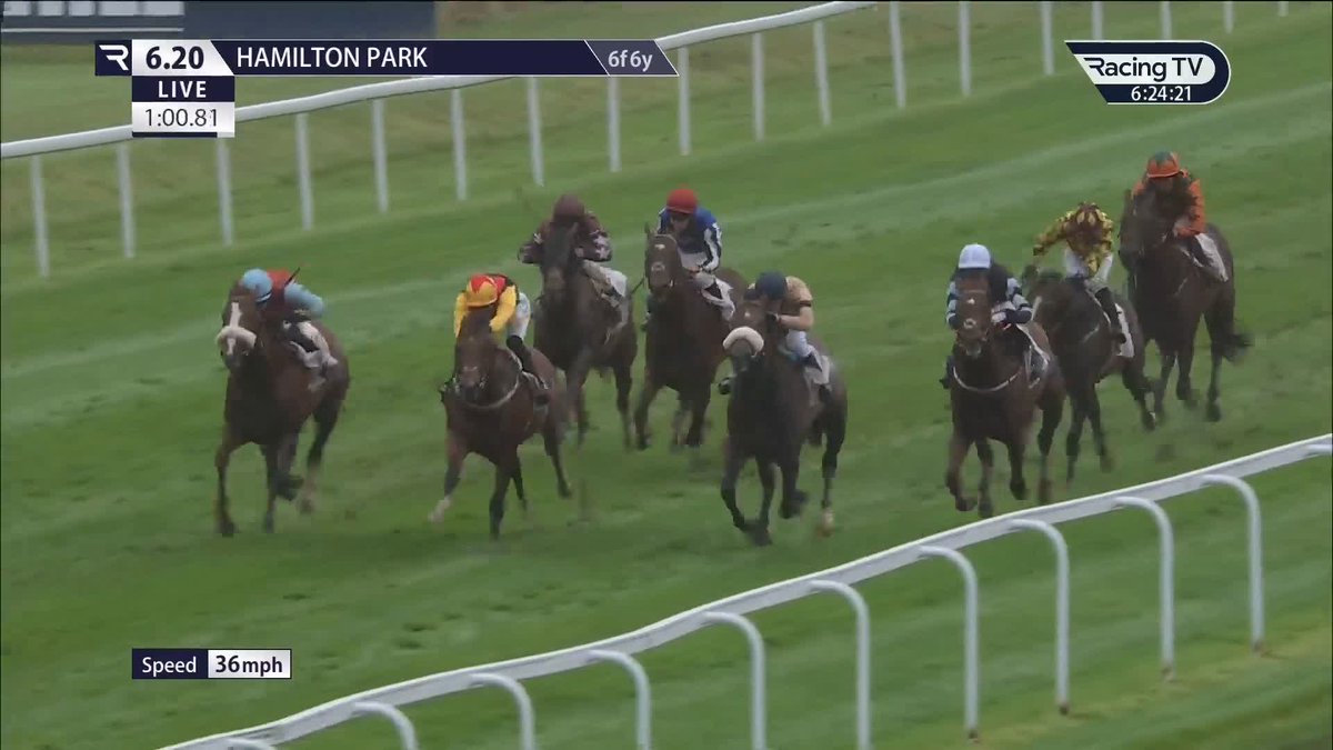 𝐓𝐫𝐮𝐦𝐩𝐞𝐭𝐲 𝐓𝐫𝐮𝐦𝐩 makes Hamilton Park great again in the feature six-furlong nursery 🔥 Jim Goldie Racing's youngster looked up against it at the weights, but thrived under the excellent Lauren Young 💫