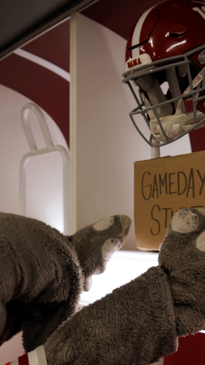 When it comes to gameday, Big Al only packs the essentials naturemade #RollTide | #MadeToCareForFans