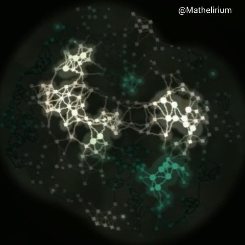 It is remarkable how far Math can go. A graph Laplacian and a non-linear wave equation are enough to produce a cortex-like network that moves, pulses and reorganizes like a living tissue.