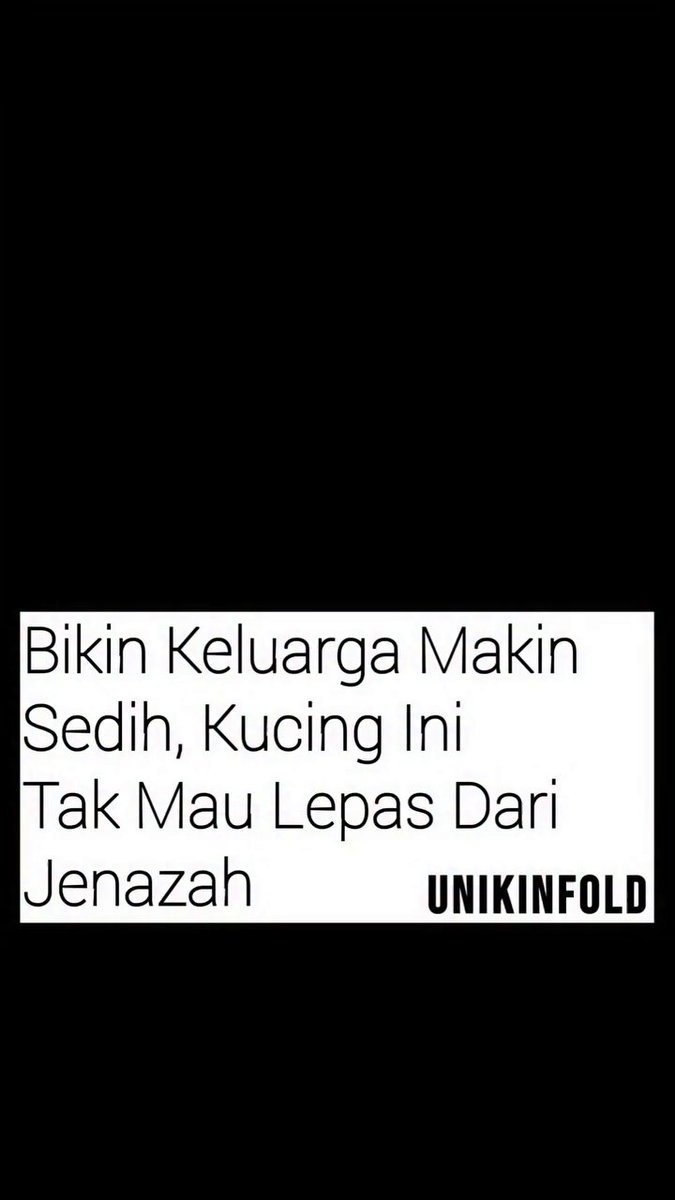 Innalillahi, Kucing memang salah satu hewan yang setia