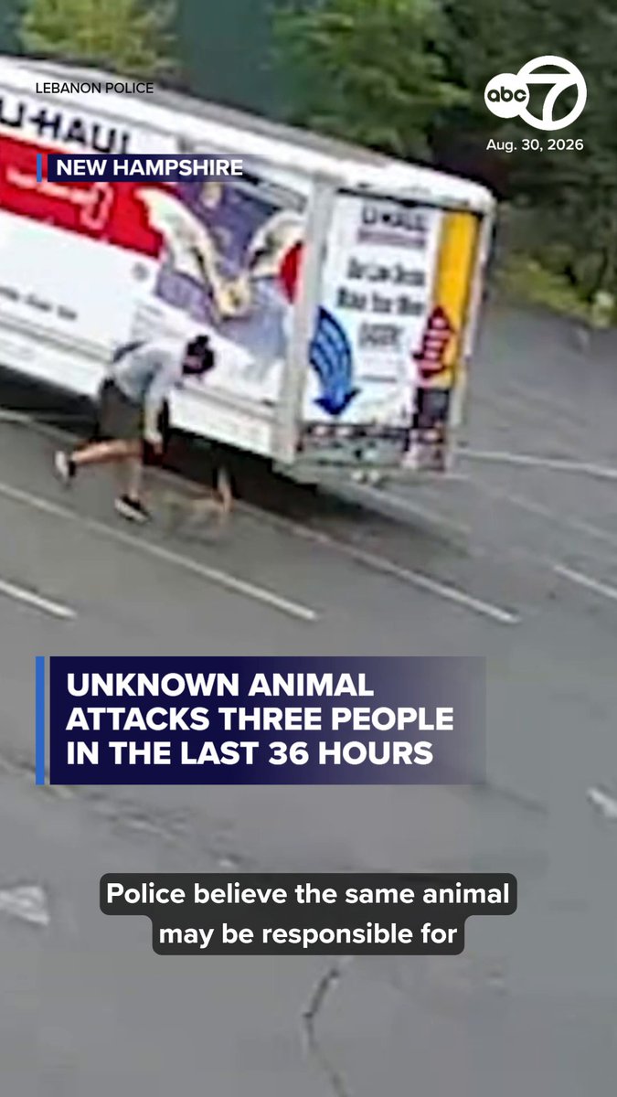 Police believe the same animal may be responsible for attacking at least three people in the last 36 hours in New Hampshire. The question is -- what is it?
