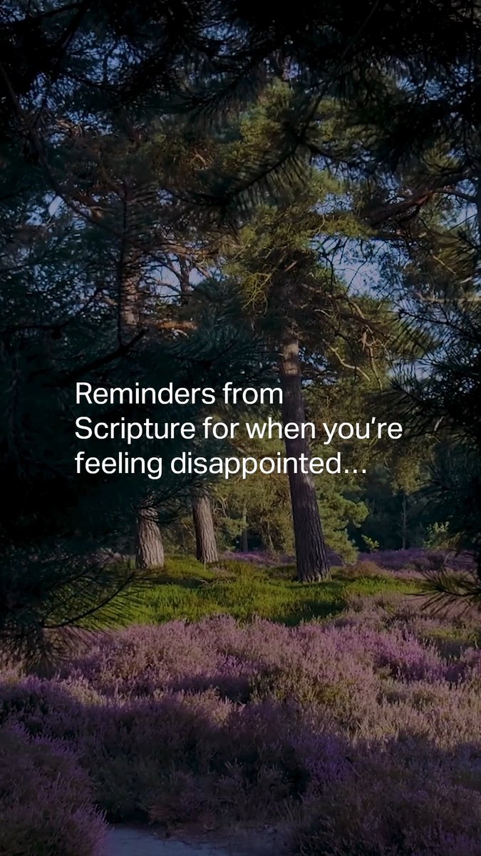 Drop a ✋ below if you needed these verses today! Then, ask someone else who commented how you can pray for them.