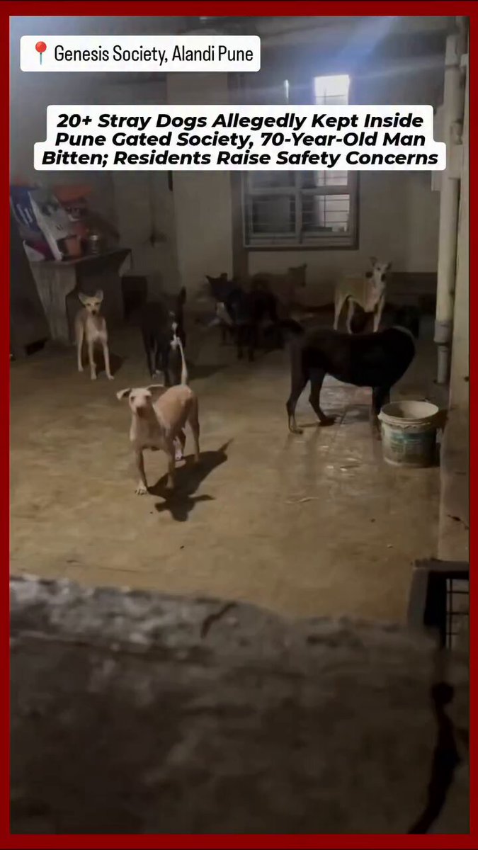#Pune -Residents of Genesis Society on #AlandiRoad have raised serious concerns over the presence of more than 20 dogs allegedly being kept inside the gated community by a resident. According to residents, repeated requests were made to the concerned person to stop bringing stray dogs into the society. However, residents claim that the issue has continued despite their objections. The situation took a serious turn on Thursday morning when a 70-year-old man was allegedly bitten by one of the dogs. His family has now raised questions about the vaccination records of the dogs and who will be held responsible for the medical treatment and ordeal the elderly man may have to face. Residents say they are not against animal welfare but are concerned about the safety of senior citizens, children and other members of the society. The family has appealed to the society management and concerned authorities to intervene and ensure that residents' safety is not compromised. “We cannot wait for everyone to be bitten before action is taken,” the family said, urging authorities to address the issue immediately.