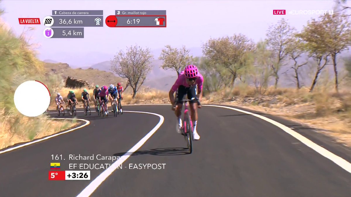 This is EXACTLY how I would expect a Jaguar to attack. #LaVuelta26