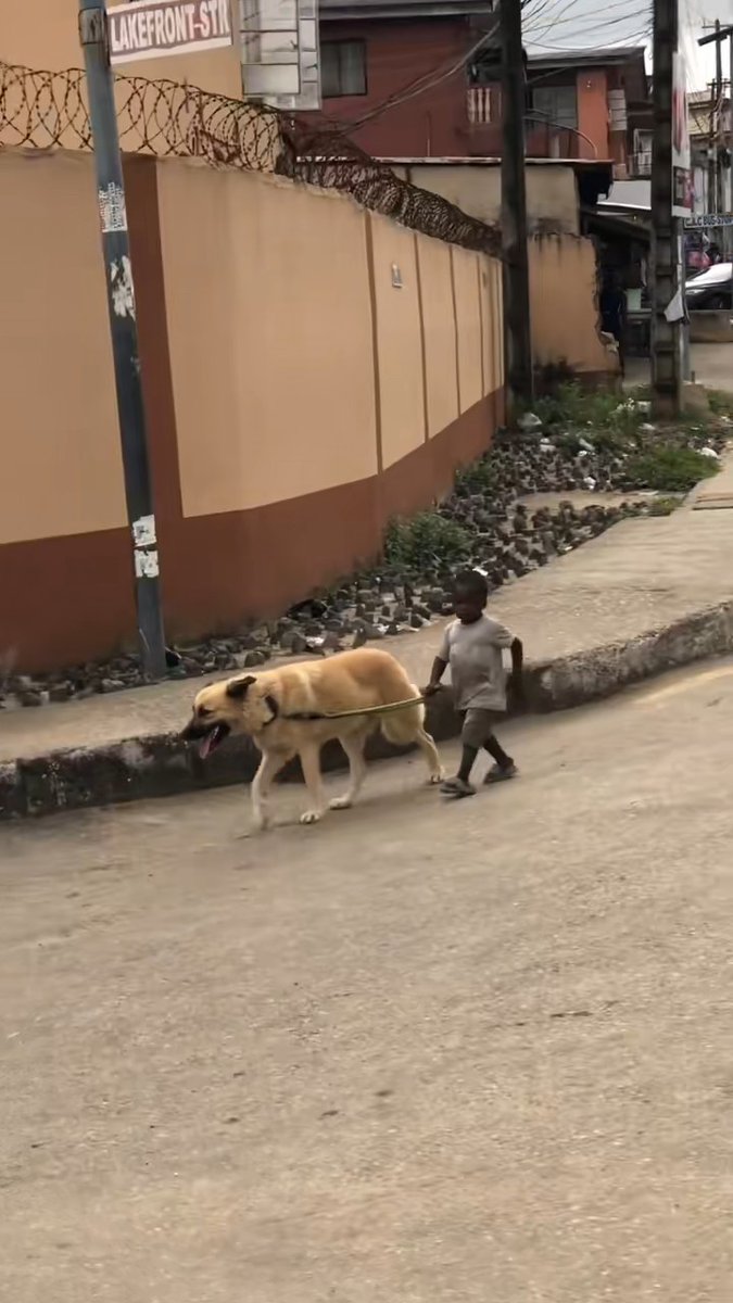 Young Nigerian boy spotted carrying a dog on a chain in a viral video.