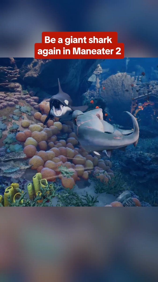 In Maneater 2, the shark is gonna GET you #gaming #shark #maneater2