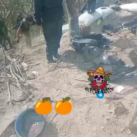 🔞 🤠🆚🍕🐓Fuerzas Especiales Unión (an alliance between Los Chapitos and the CJNG) sicarios, killed by MZ sicarios during clashes somewhere in southern Sinaloa🤠🆚🍕🐓. Hashtags: #Sinaloa #CDS #MZ #LosChapitos #CJNG #cartels #Mexico