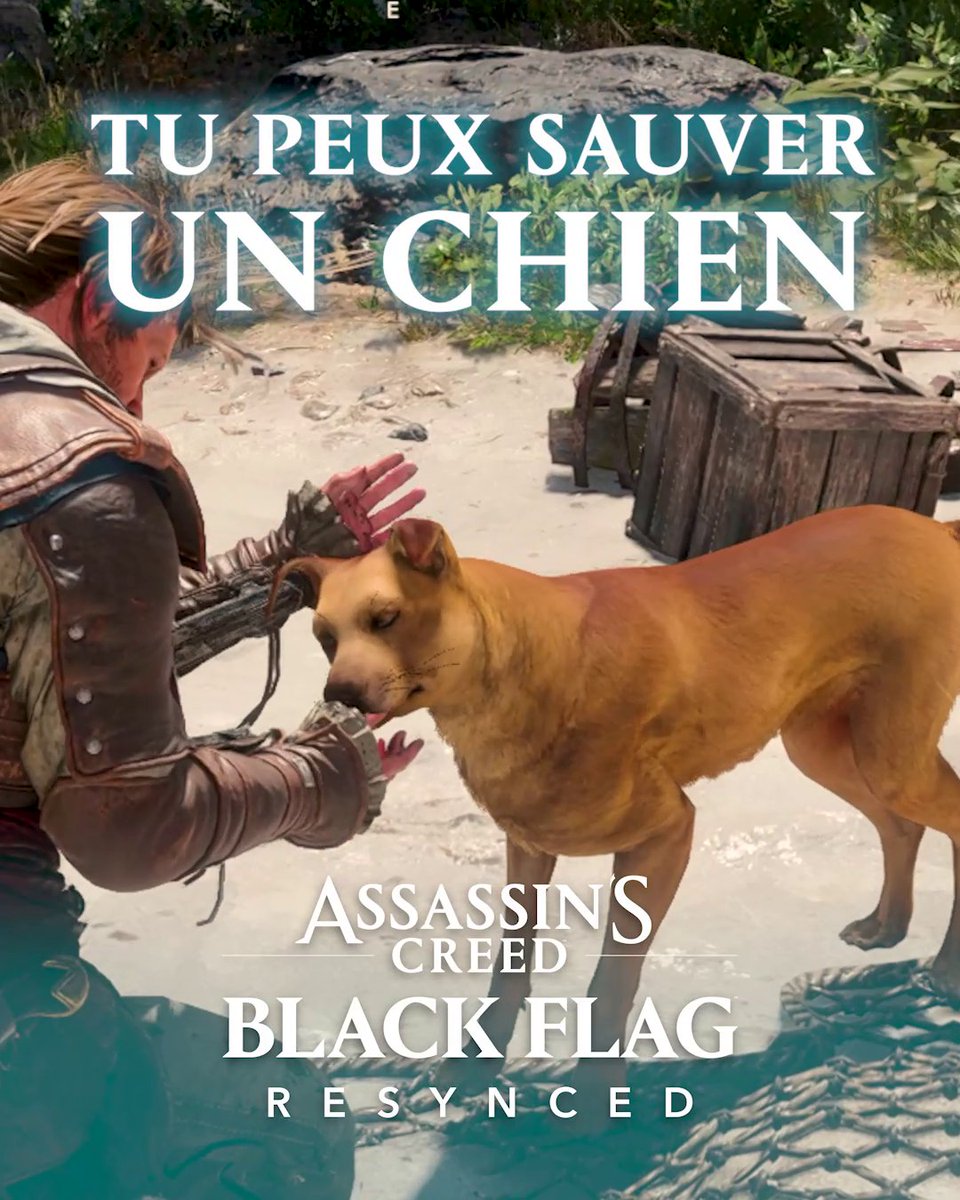 Tous les héros ne portent pas de cape... Certains portent une capuche. 🥹 Voici comment sauver le chien abandonné dans Assassin's Creed Black Flag Resynced ! ❤️🐕