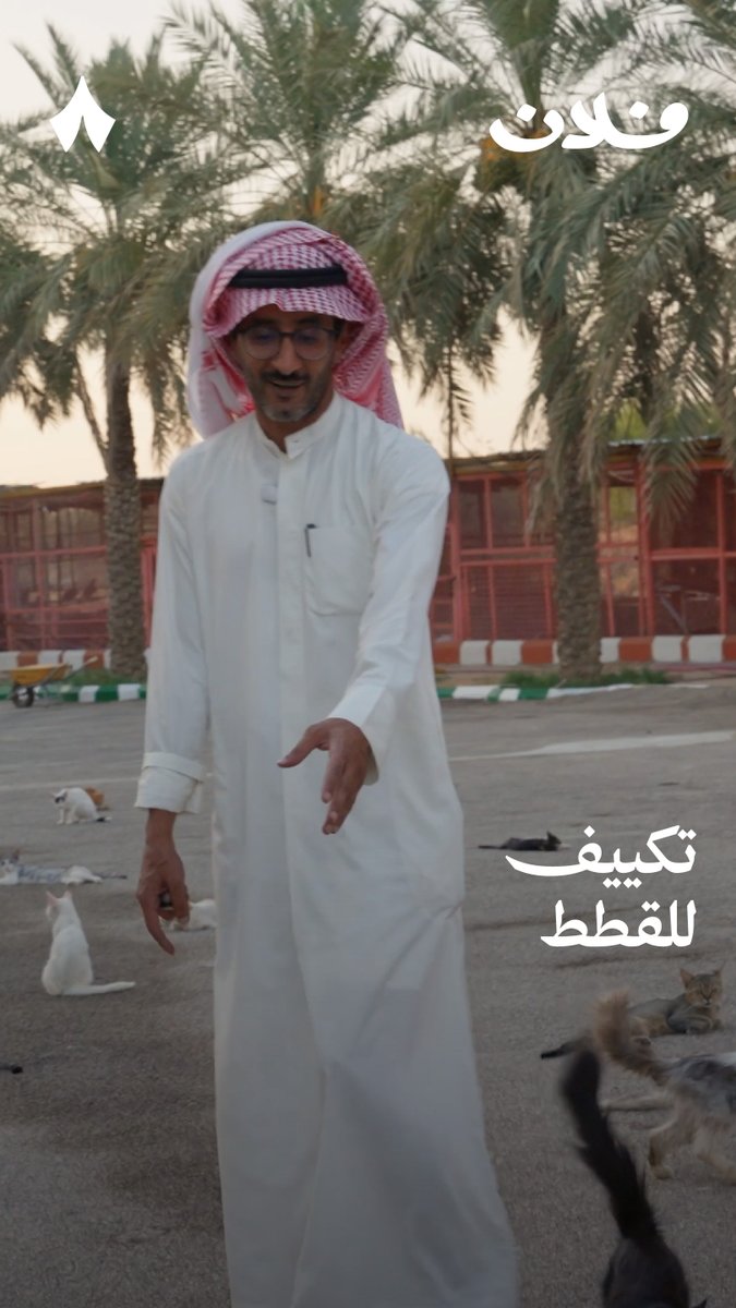 مكيف خاص للقطط! 🐈 #فلان