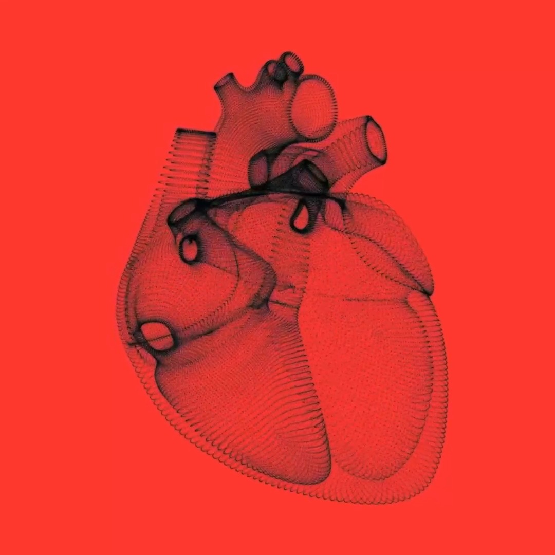 The heartbeat and other bodily processes play a surprising role in shaping perception and cognition.