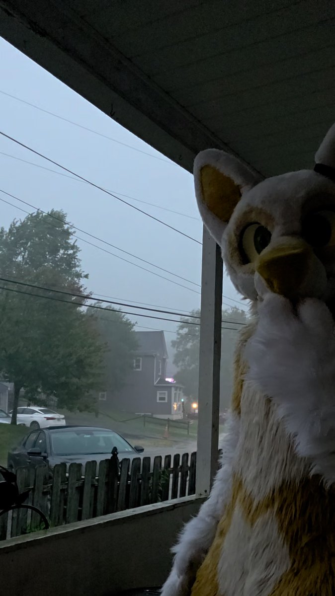Midwest activities ⛈️