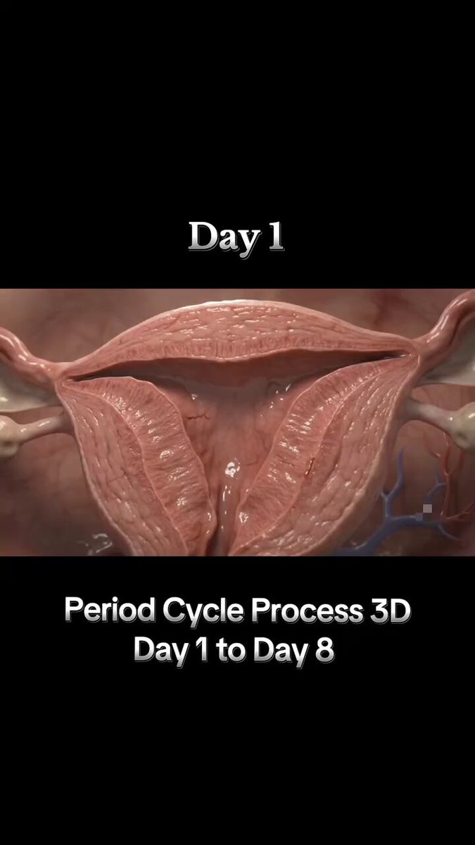 “It’s just period, don’t be dramatic” Sementara yang terjadi pada rahim pas kita lagi haid: