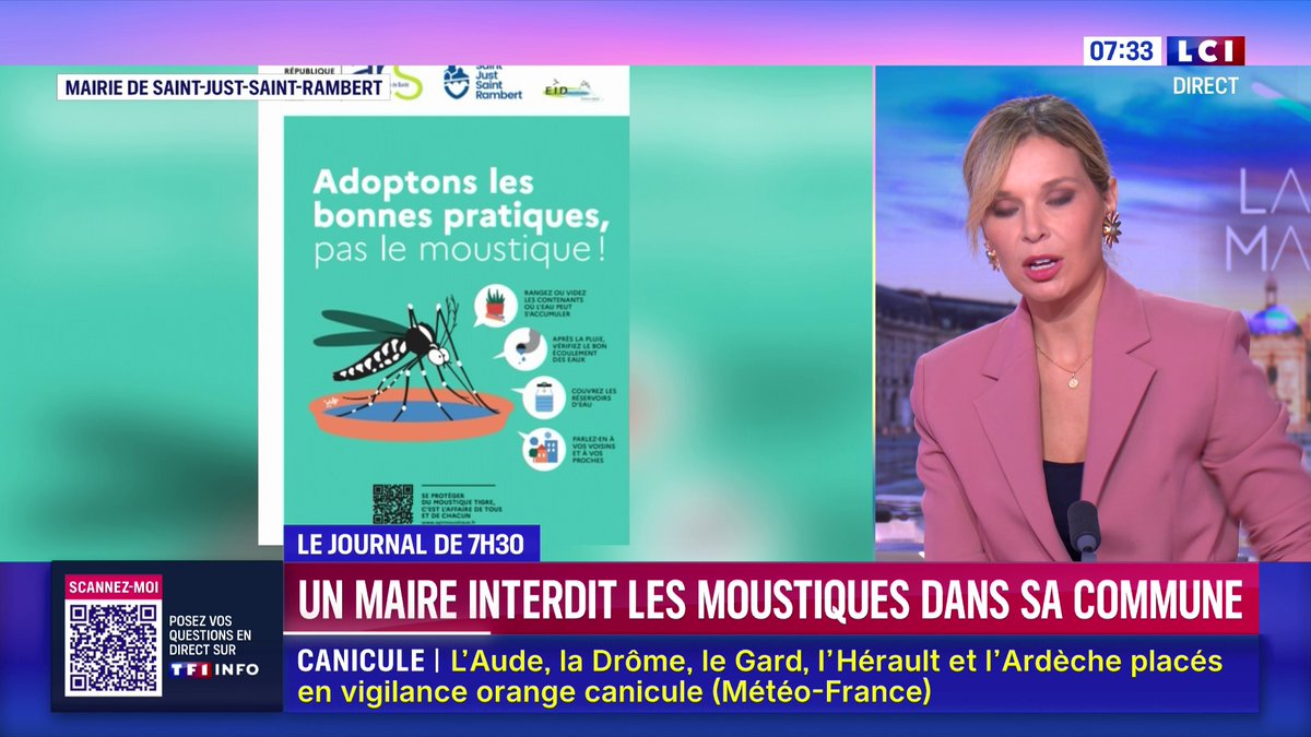 🔴 Un maire interdit les moustiques dans sa commune 📺 Le journal de 7h30 de Laurène Barrière-Tallerie | Matinale LCI