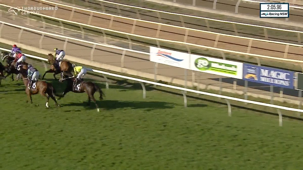 Matusalem does it to 'em and wins the Wyong Cup with James McDonald on board! 🟣🔴 Chris Waller wins his 10th Wyong Cup and the gelding is off to the Big Dance.