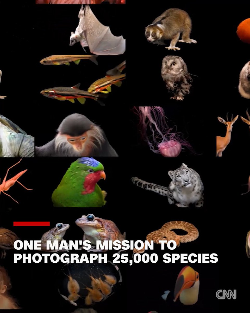 Joel Sartore photographs like he's running out of time. Twenty years into his monumental project, the National Geographic Photo Ark, he's taken portraits of over 18,000 species around the world. At least one of those species has since become extinct — but he holds out hope that his photography can help save others.