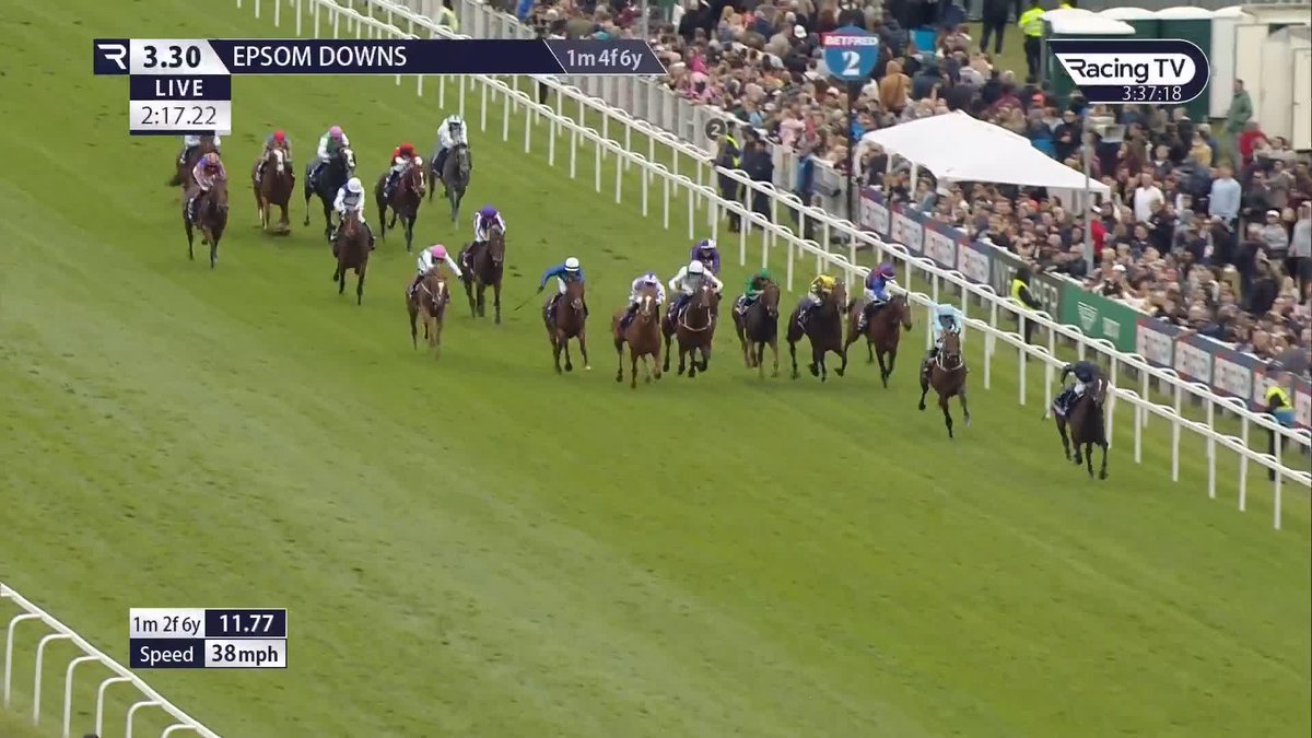 🚨 Owner JP McManus has acquired Juddmonte's 2025 Derby 4th NEW GROUND from Henri-François Devin in France. The 4yo will go into training with Joseph O'Brien in Ireland ✅ 🟢🟡 A high class Flat horse to join Owning Hill ahead of the National Hunt season.