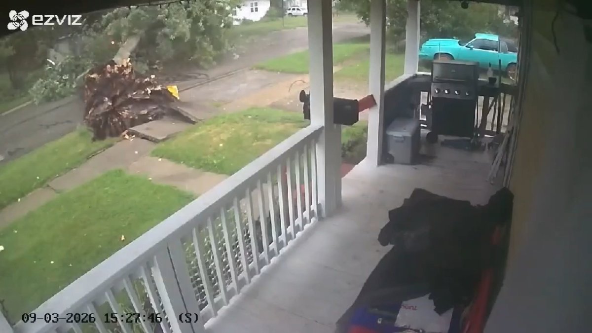This video was sent to us from Port Huron, MI where another large tree fell across the road. Credit to Edie Guether