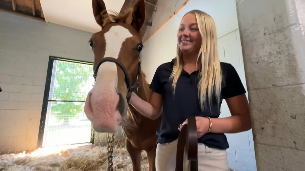 Did You Know: Nashville Derby favorite Causeway (IRE) is out of a full sister to multiple G1-winning millionaires Rhododendron (IRE) and Magical (IRE). Rhododendron went on to produce BC Turf champion Auguste Rodin (IRE) and we recently caught up with Magical and her Justify colt at Coolmore Ashford this Spring.