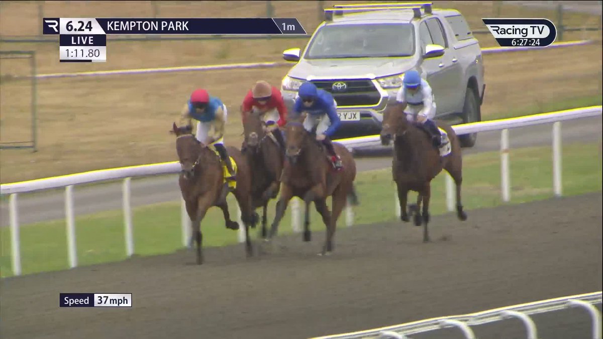 Gilding The Lily (Blue Point) defies the penalty to make it two from three and looks a nice type for John and Thady Gosden and Godolphin