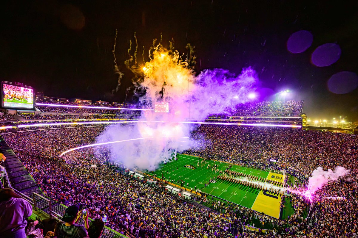 3 Letters. 2 Colors. 1 State. We are ALL LSU!