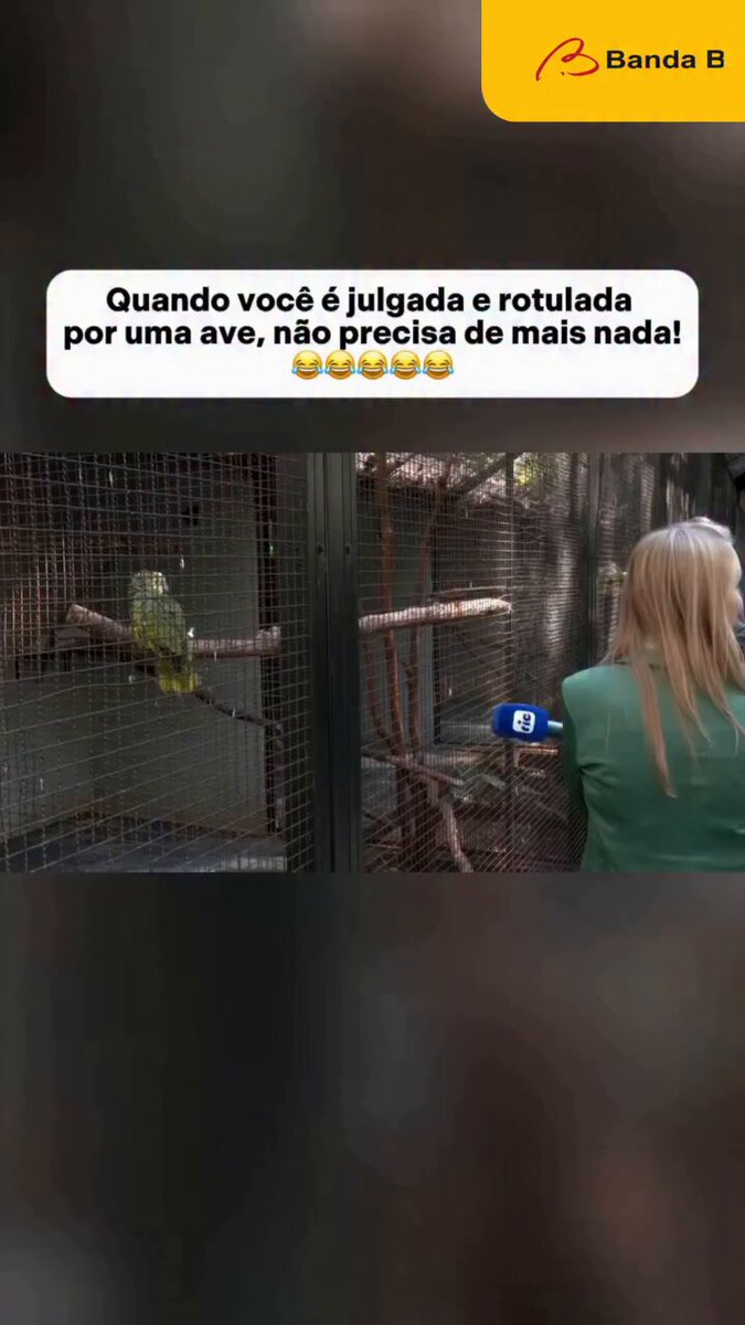 🚨ASSISTA: Repórter é chamada de "Loira Burra" por Papagaio, e momento engraçado encanta a web.