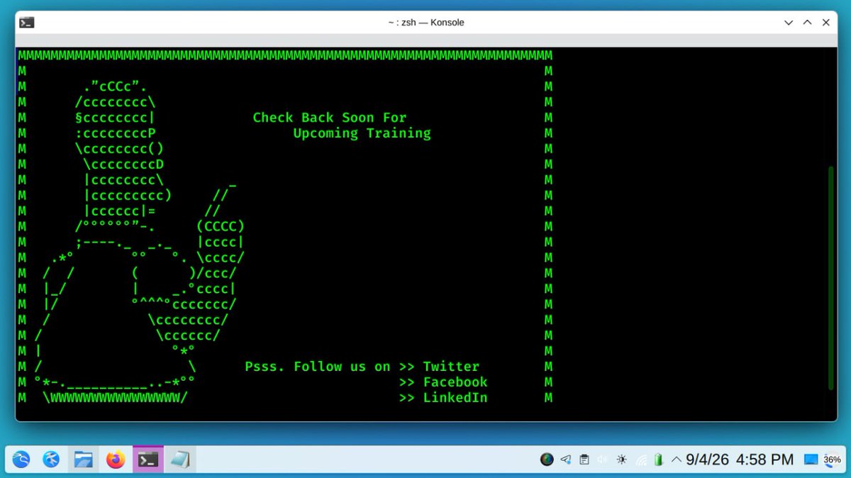Auto-generate Web Recon Reports - EyeWitness Tool