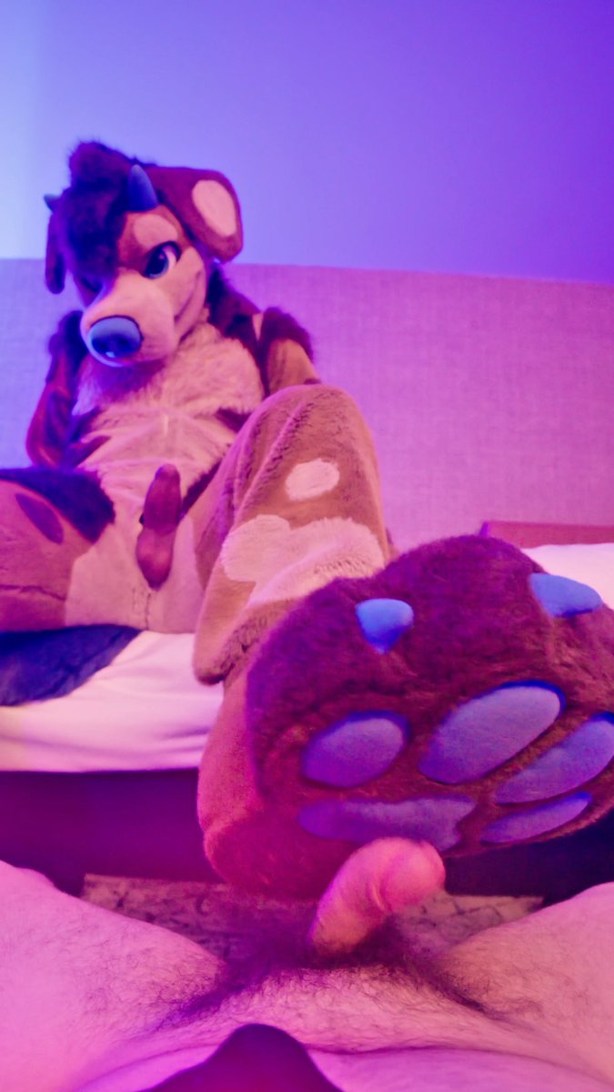Denfur 2026 was so fun! Meet some cool people like Burton Saberfloof and his partner Reverie who gave me a good start to this #steptember ~ 🐾🌟🍆💦 #Stomp #Macro #Micro #paws #furry #nsfwfurry #footpaws #fursuitfriday #fursuit #footfetish #pawjob #footjob #feetpaws #paws