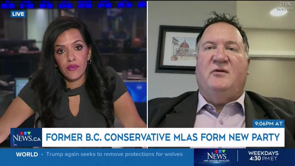 Political analyst on CTV quotes Elon Musk: What's a right wing extremist? A normal person from 20 years ago!
