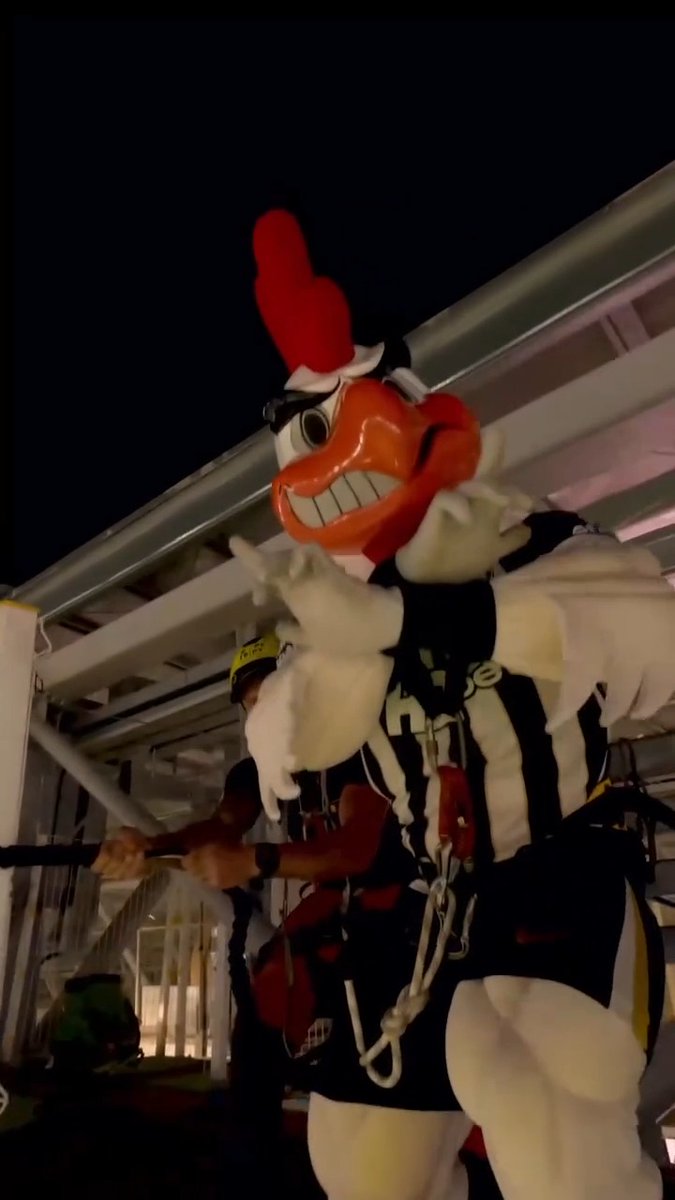 Una locura el espectáculo de la mascota del Atlético Mineiro, el Gallo Doido.🤯🐔🤩⚽️ (Vía @arenamrv/ig)
