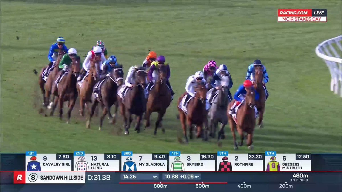 Moir Stakes | My Gladiola She's a sprinting star! The grey mare, My Gladiola, wears down Cavalry Girl to claim her first Group 1 under the urging of Jamie Mott ⭐️ 📺 Ch. 78/68, Foxtel 529, Kayo or via our app REPLAYS: