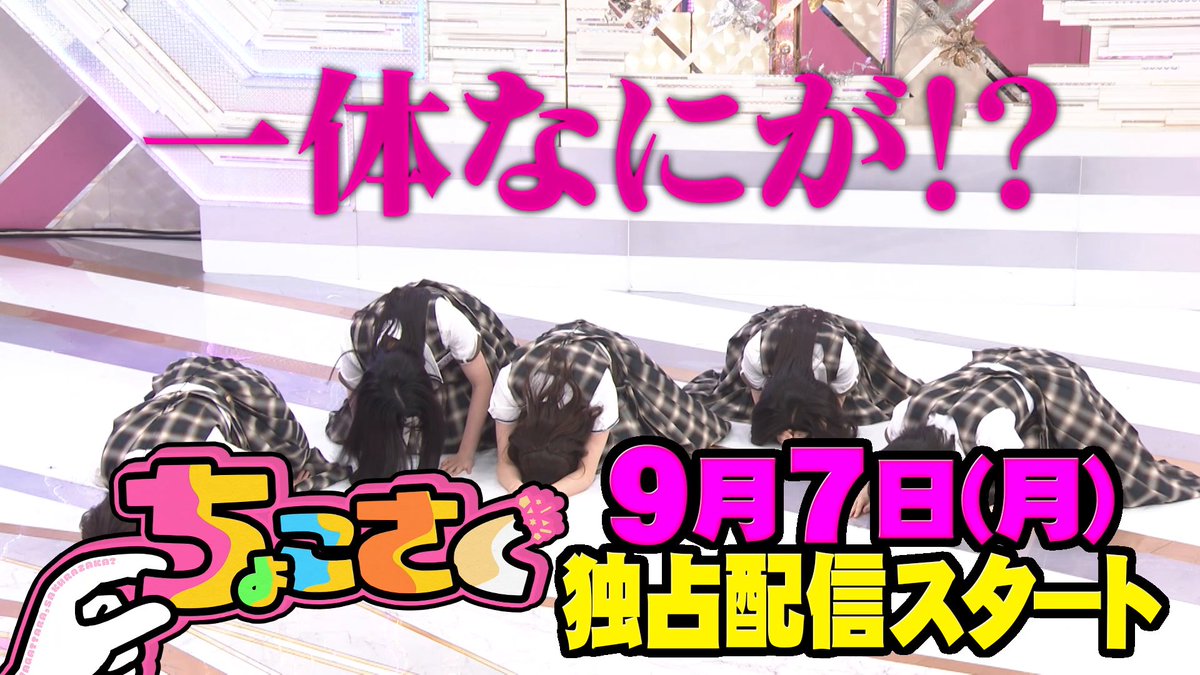 ⋰ 🤏#ちょこさく🌸 ⋱ ◤そこさく・ちょこさく決起集会!◢|⁴⁶ メンバーが反省や目標を大声で叫ぶ📢 崩れ落ちるメンバー一同…一体何が!? 過去の未公開罰ゲームも👀 9/7(月) #レミノ で配信開始! >> #櫻坂46