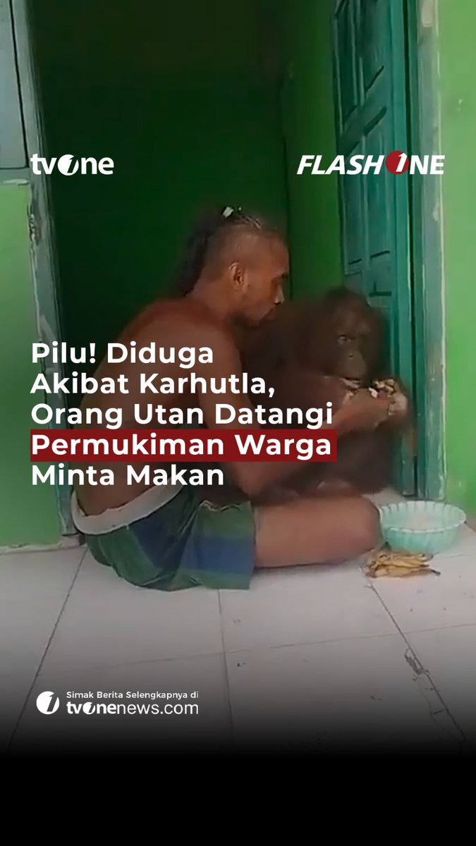 Seekor orang utan diduga keluar dari habitatnya akibat karhutla dan masuk ke permukiman warga dalam kondisi lemas serta kelaparan. Selengkapnya di video berikut ini! #ForYourInformation #CariBeritaditvOne #OrangUtan #Karhutla #FYI02 #ZA03