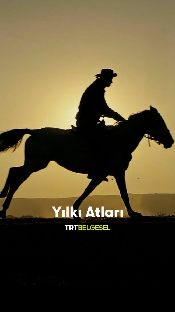 Yorulmadan kilometrelerce yol katedebilen, Orta Anadolu bozkırlarının simgelerinden “Yılkı Atları“nı yakından tanıyoruz. 🐎 “Ailenin Yeni Üyesi Türkiye”, 19.10’da TRT Belgesel’de.