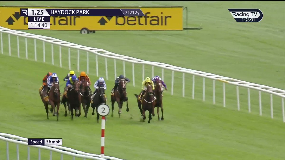Thriller! Persica prevails on the nod for a third Group 3 success in the £95,000 Betfair Racing Backs Opinions Superior Mile Stakes for Richard Hannon Haydock Park Races
