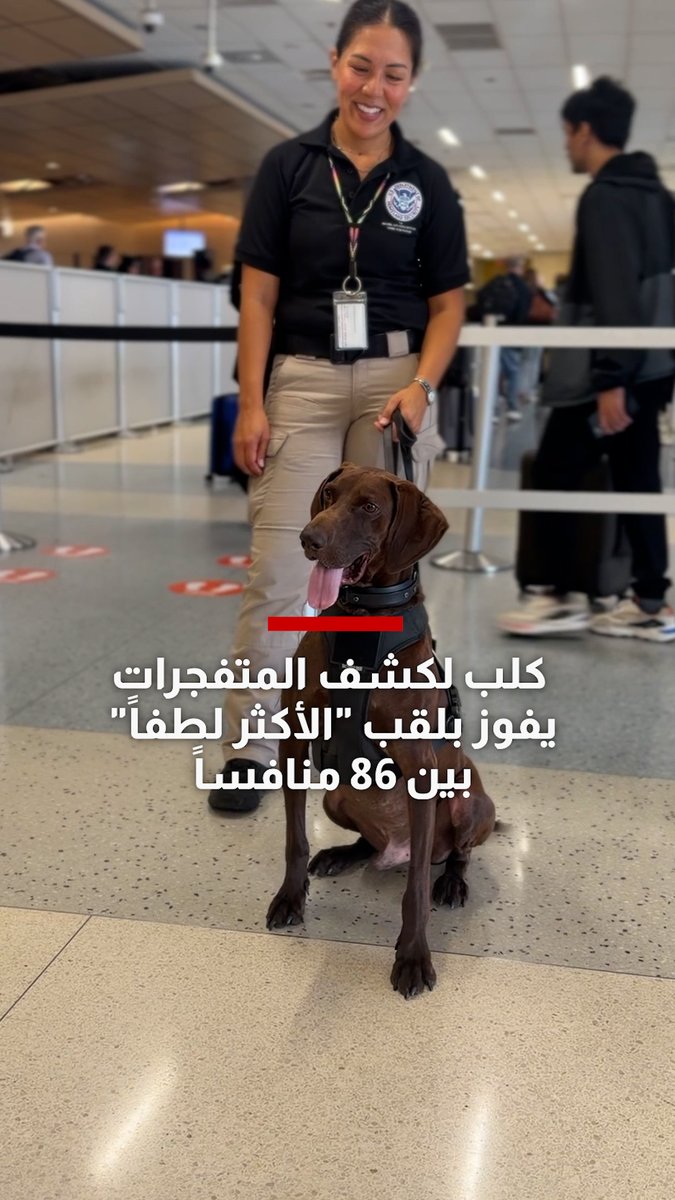 شاهد.. كلب لكشف المتفجرات يفوز بلقب "الأكثر لطفاً" بين 86 منافساً