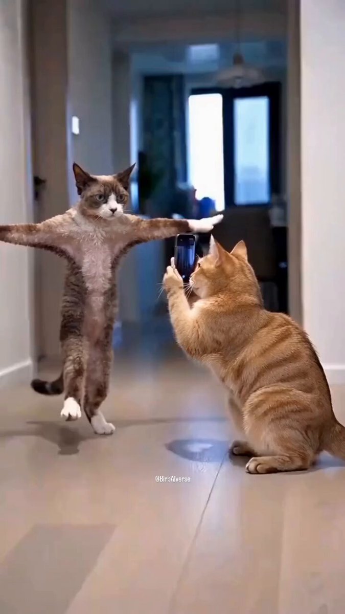😂📸 “When your friend says, ‘Just one quick pose’… and suddenly it’s a full-on photoshoot! 🐱🔥”