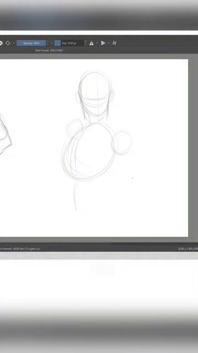 how to draw the torso from different poses