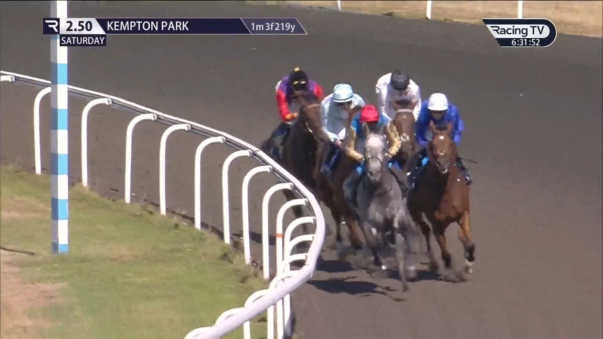 "He's run perfectly well in terms of his mark, but it does give you a sense of what he is." Steve Mellish on the Flat iteration of Constitution Hill, and "good Group 2 horses" Pride Of Arras and Gethin in the William Hill Racing September Stakes Kempton Park Racecourse