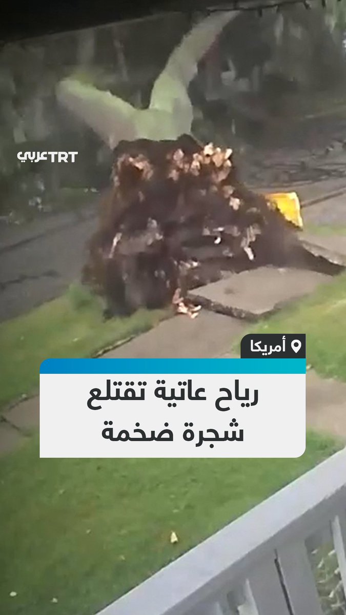 كاميرا مراقبة توثّق لحظة اقتلاع شجرة ضخمة من جذورها بفعل رياح عاتية، ضربت مدينة بورت هورون في ولاية ميشيغان الأمريكية. #تفاعل ليصل إليك كل جديد
