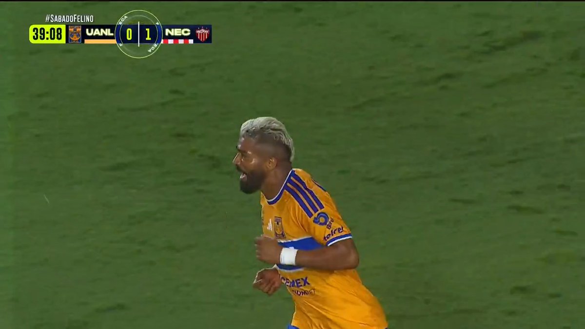 🦬💥 ¡Tremendo golazo de cabeza del 'Búfalo' y se empataba el encuentro!