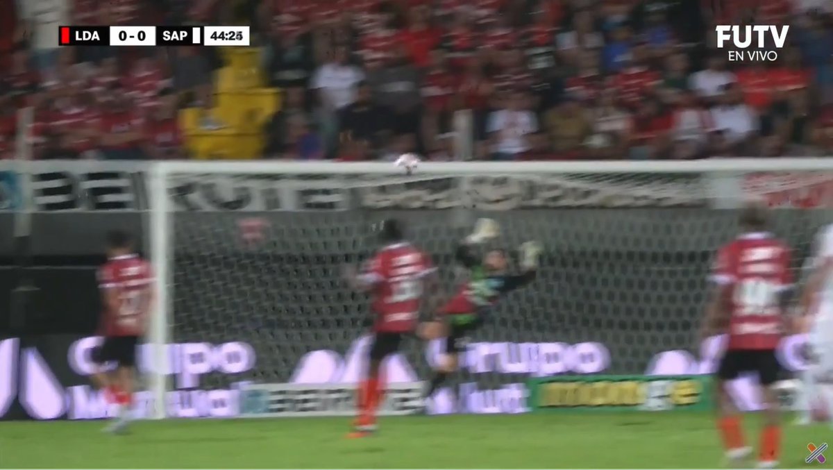 Seguro que la perra de Muslera