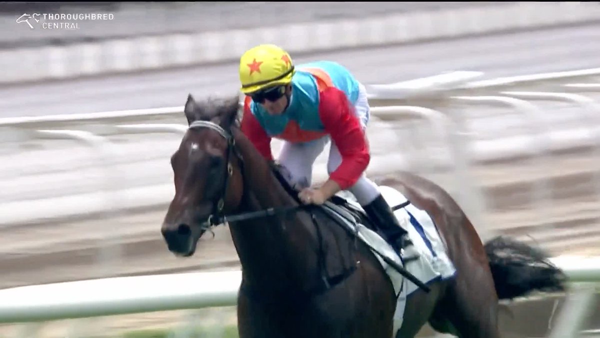 'Look out Sydney... He's coming back!' Chief Executive's Cup ✅ TAB Everest ⏳ KA YING RISING smashes the track record at Sha Tin by more than a second on the way to his 21st consecutive win.