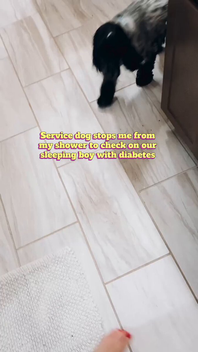 Service dogs are real life heroes. This diabetes alert dog detects a problem with its human, even from the other section of the house. [📹 mylesabovet1d]