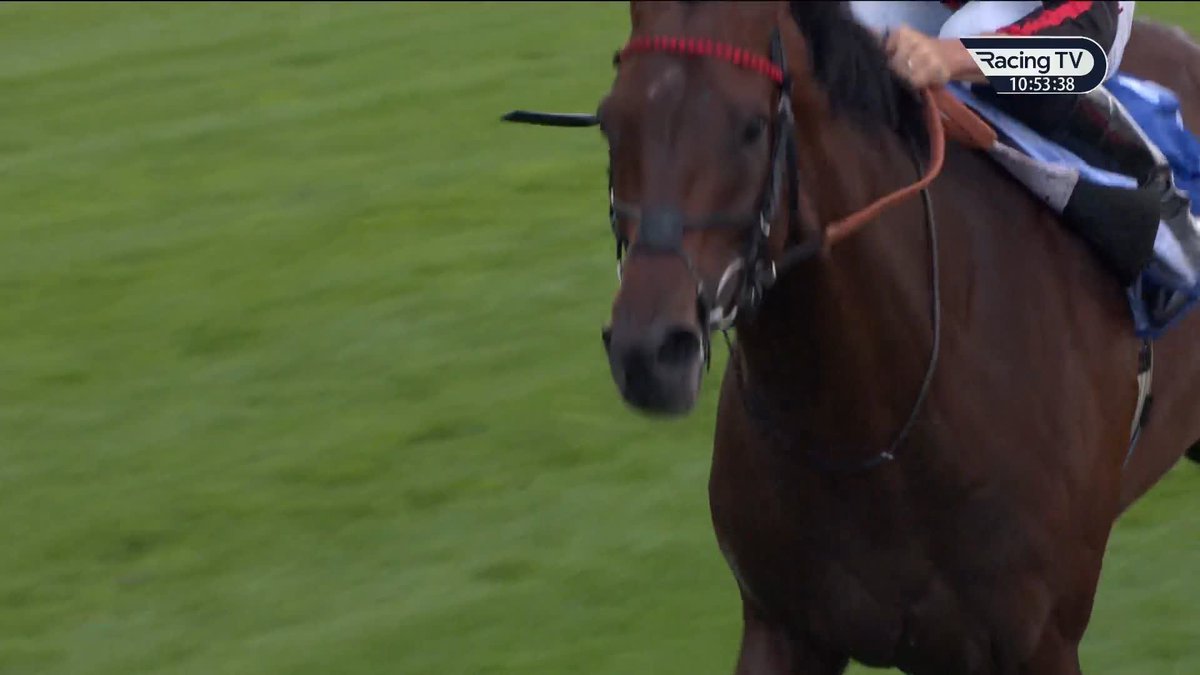 🗣️"I am going to send a hundred people to the Arc." George Waud is on one hell of a journey with Maltese Cross and you can join him in Paris! 🇫🇷 #LuckOnSunday | LuckOnSunday | World Pool