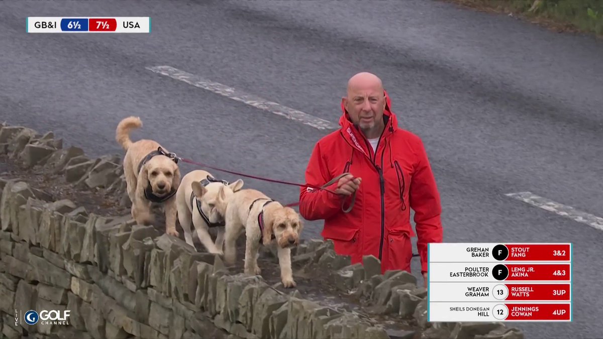 With respect to the legends of the game.... Is this the best video to ever come out of The Walker Cup? Dogs walking on a wall. Dogs stopping for pets. We are now a dog account.