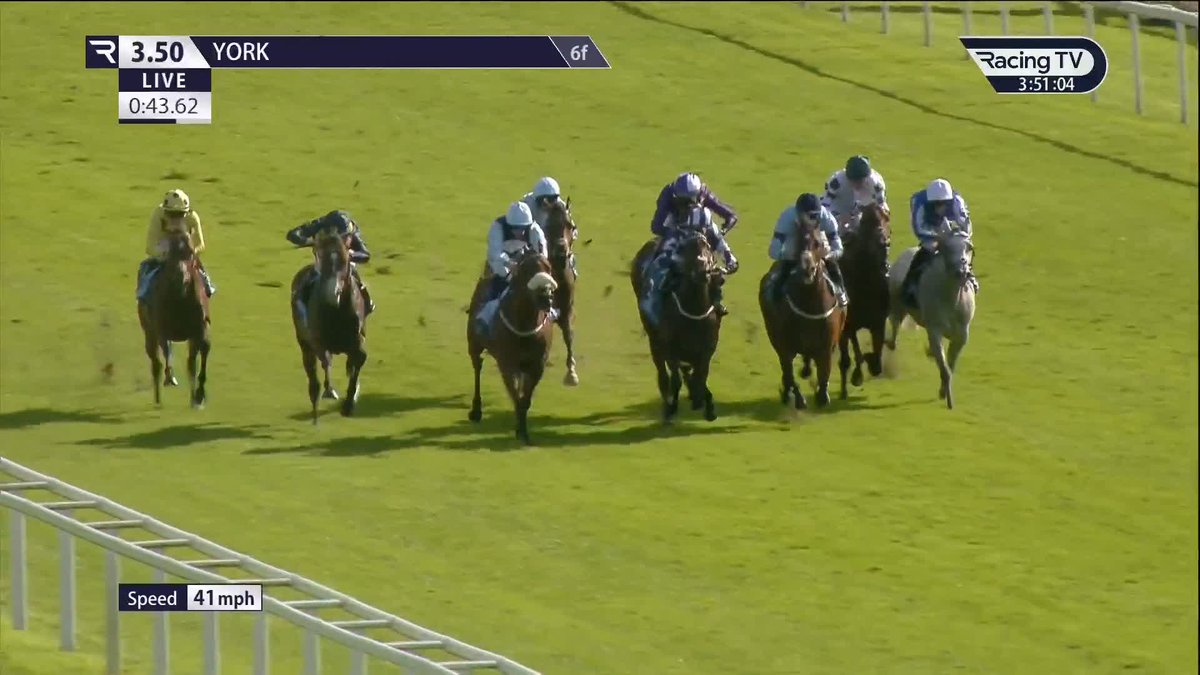 A horse on the UP ⬆️ Extremely Zain makes it back-to-back wins in the Listed Garrowby Stakes for Somerville Lodge Stables and Cieren Fallon. Tally-Ho Stud | York Racecourse