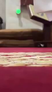 سائل يسأل : من القارئ ؟