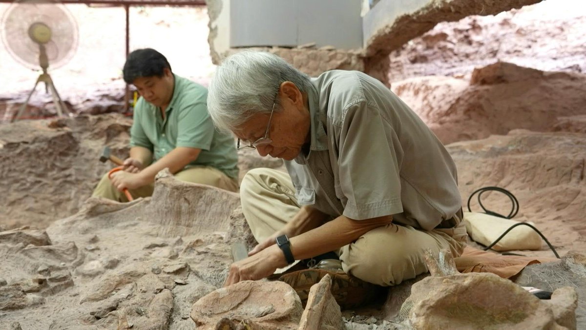 🇹🇭 🦕 Thailand's 'Jurassic Park' shines light on dinosaur evolution With two new dinosaur species identified this year alone, Thailand is emerging as hotspot for dinosaur research and discovery in Southeast Asia.