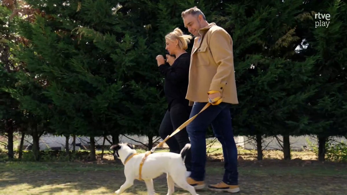 👋 'Dog House' CIERRA TEMPORADA con historias de esperanza y una visita a la Fundación ONCE del Perro Guía. 🏠🐾 Martes 8 de septiembre, después de 'La Revuelta' en La La 1 y RTVE Play. #DogHouse