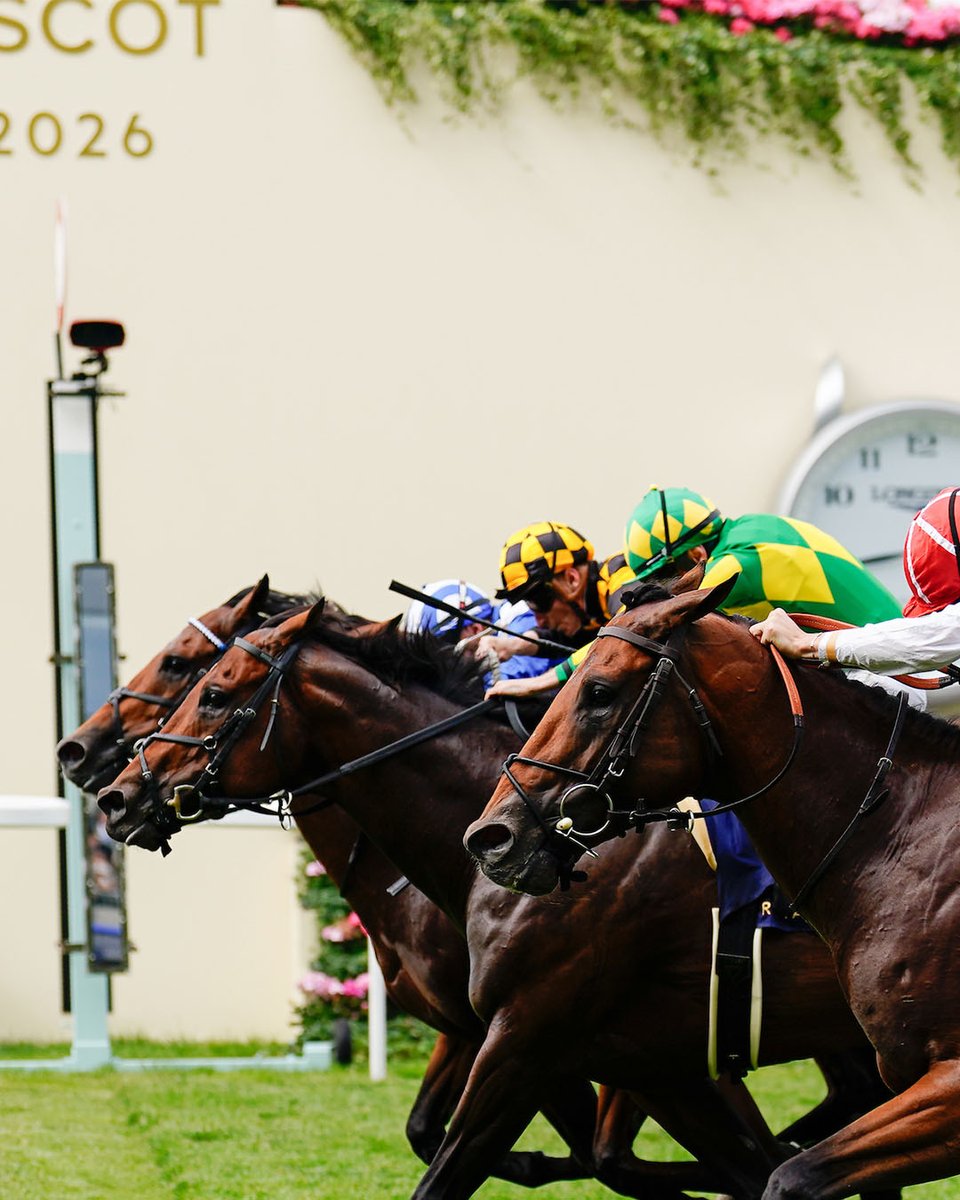 Wishing Satono Reve a happy retirement as he heads off to a new chapter at Shadai Stallion Station. The global sprint star has flown the flag for Japan at Royal Ascot for the last two years, finishing second both times in the Queen Elizabeth II Jubilee Stakes, beaten just a nose this year by Almeraq. Thank you Satono Reve and good luck in your new career 🇯🇵🏇❤️